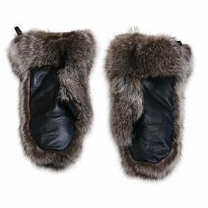 canadian-raccoon.png
