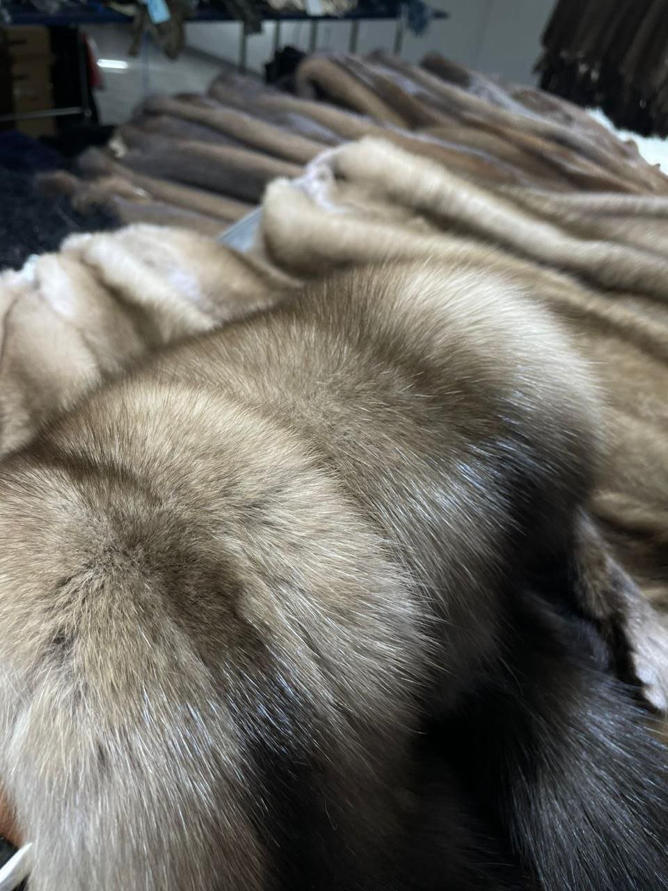 Premium Russian Barguzin Sable Pelts – Custom Selection Available - Image 7