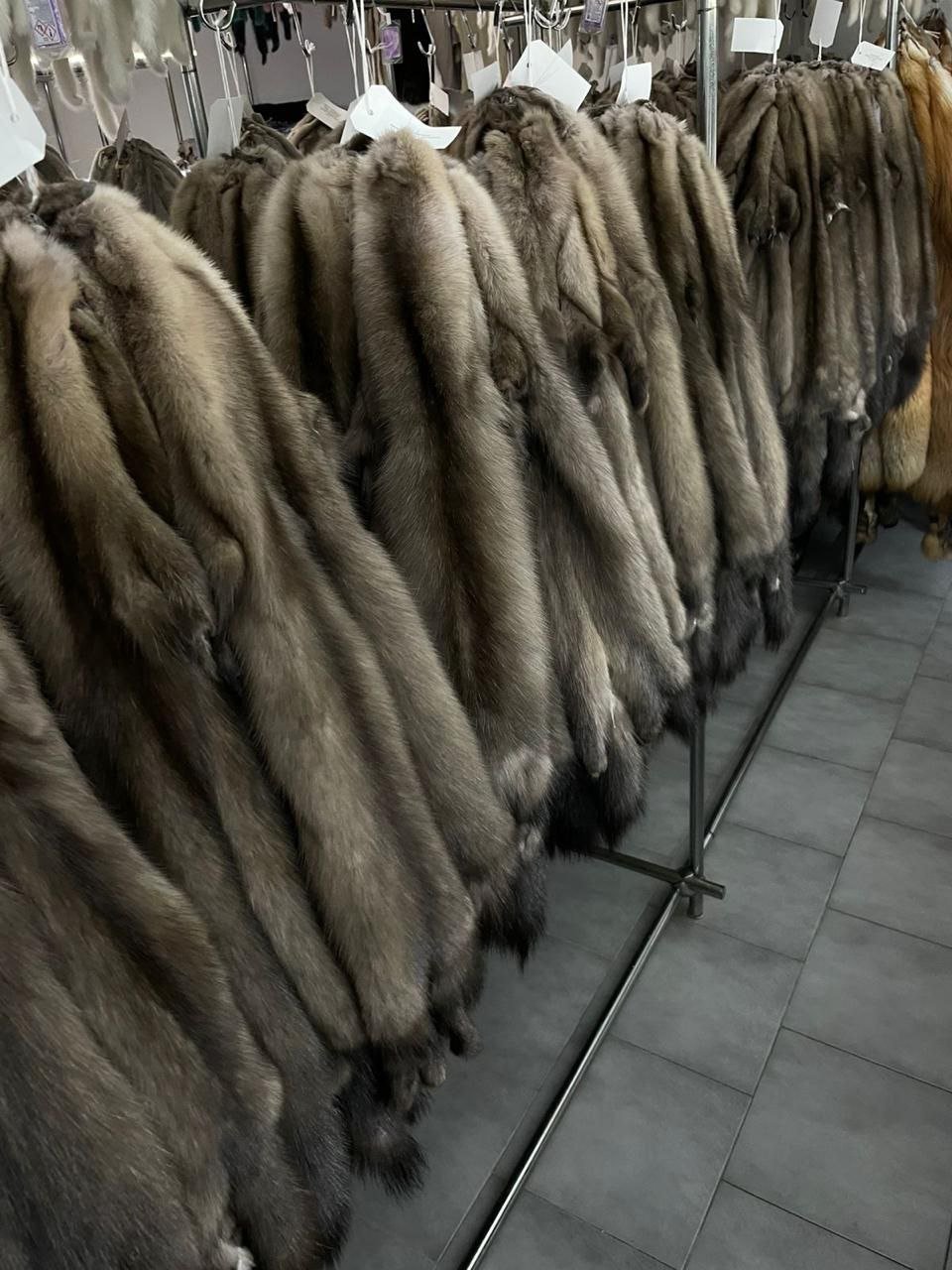 Natural Barguzin sable fur skins in silver brown color