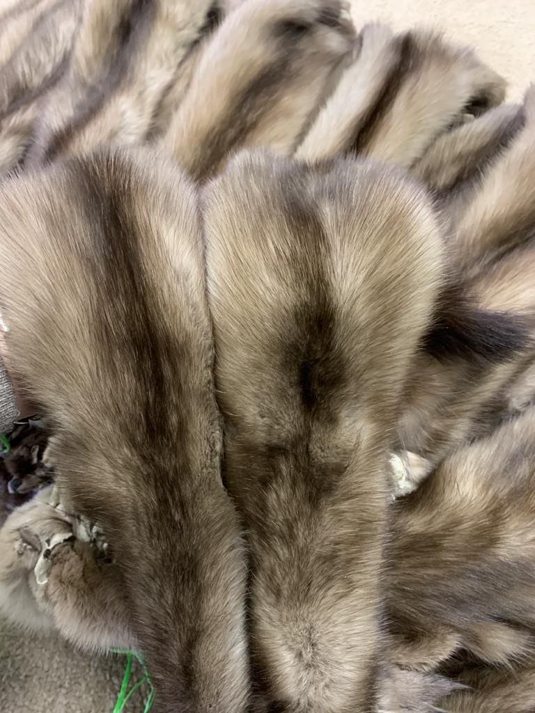 Premium Russian Barguzin Sable Pelts – Custom Selection Available - Image 6