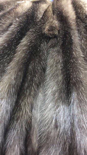 Premium Russian Barguzin Sable Pelts – Custom Selection Available - Image 5